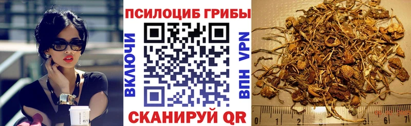 Галлюциногенные грибы мухоморы  как найти закладки  Талдом 